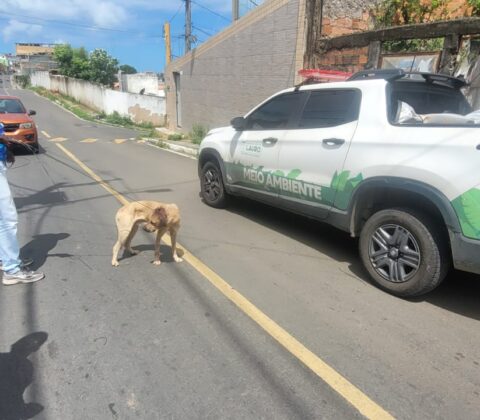 Imagem do post SUPPA muda de nome e função em Lauro de Freitas; veja o que muda