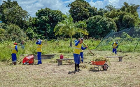 Imagem do post Mutirão de limpeza transforma parque no Centro de Lauro de Freitas