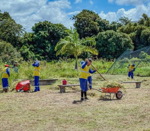 Imagem do post Mutirão de limpeza transforma parque no Centro de Lauro de Freitas