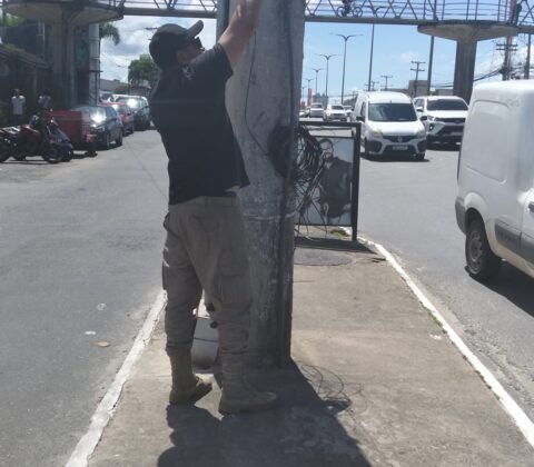 Imagem do post Operação retira 100 kg de fios e combate poluição visual em Lauro de Freitas