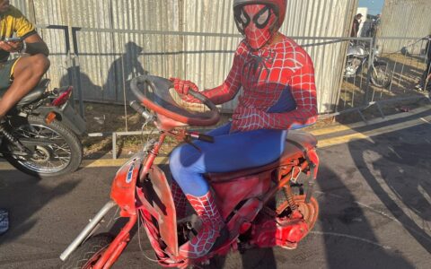 Imagem do post Fantasias roubam a cena e elevam nível do Festival de Cultura do Grau em Castro Alves