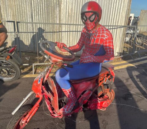 Imagem do post Fantasias roubam a cena e elevam nível do Festival de Cultura do Grau em Castro Alves