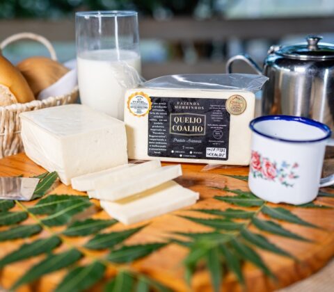 Imagem do post Após prêmios internacionais, marca baiana de laticínios investe em ampliação da produção