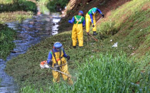 Imagem do post Chuvas em Salvador: força-tarefa da Prefeitura atua 24h para evitar riscos à população