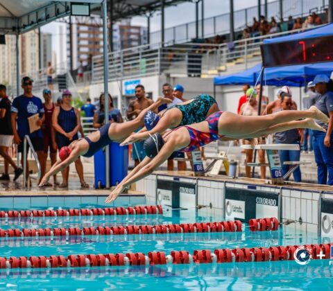 Imagem do post Festival de Outono agita Salvador com mais de 360 atletas na Piscina Olímpica