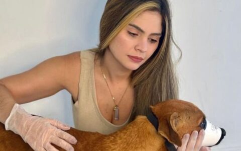 Imagem do post Marcelle Moraes reage a fala sobre eutanásia e cobra ação do Estado na causa animal
