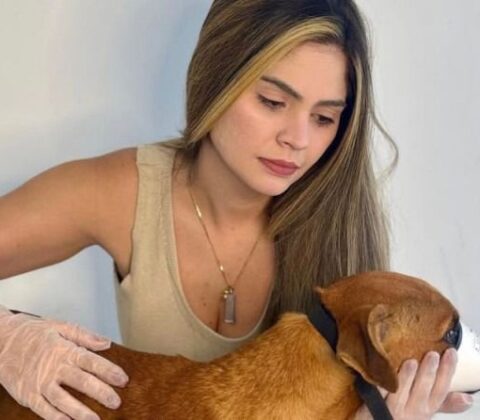 Imagem do post Marcelle Moraes reage a fala sobre eutanásia e cobra ação do Estado na causa animal