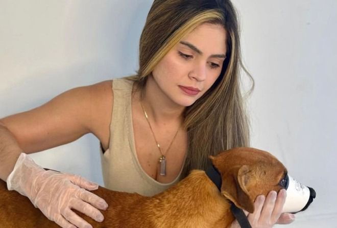 Marcelle Moraes reage a fala sobre eutanásia e cobra ação do Estado na causa animal