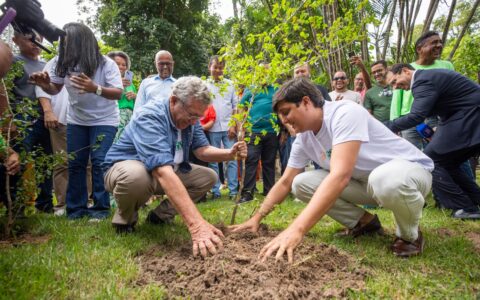 Imagem do post Camaçari lança EcoJunho com programação ambiental e novidade para o público