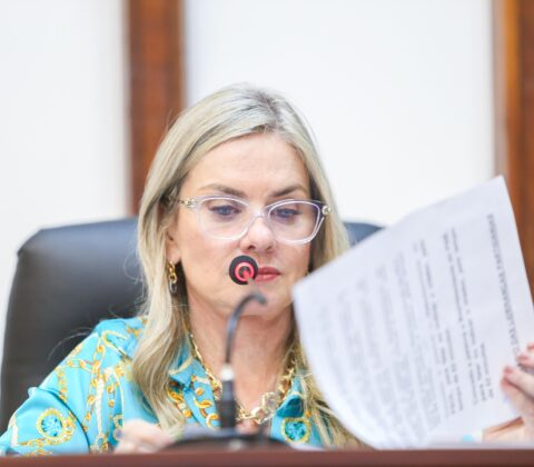 Imagem do post Ivana Bastos diz que o Legislativo fez a sua parte em aprovação de lei do piso salarial do Magistério