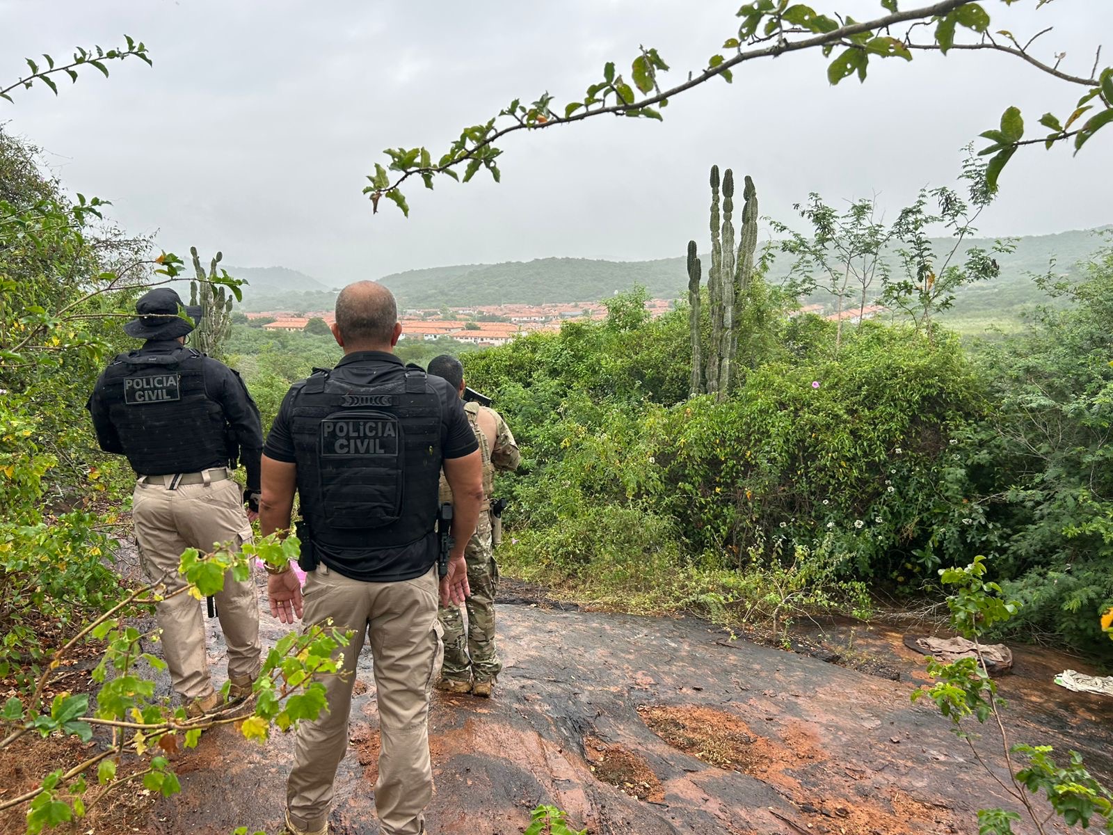 CV NA MIRA: Operação encontra drogas e desmonta acampamento de facção em área de mata
