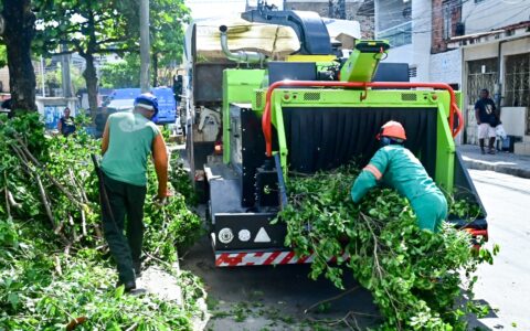 Imagem do post Salvador passa a reciclar podas com nova máquina e reduz descarte