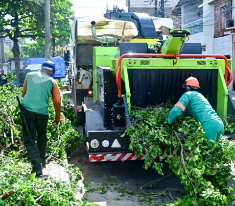 Imagem do post Salvador passa a reciclar podas com nova máquina e reduz descarte