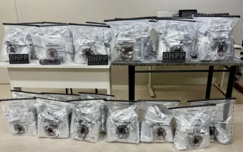 Imagem do post Polícia intercepta carga de cocaína do CV que seria enviada para o Nordeste de Amaralina