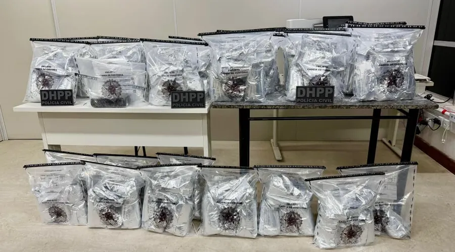 Polícia intercepta carga de cocaína do CV que seria enviada para o Nordeste de Amaralina