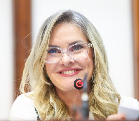 Imagem do post Ato de Ivana Bastos institui programa ‘ALBA Protege Dados’, que prevê adesão das Câmaras Municipais