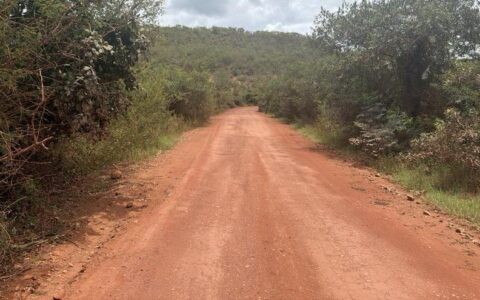 Imagem do post Trecho da BA-245 será pavimentado; obra promete reduzir distância entre Mucugê e Seabra