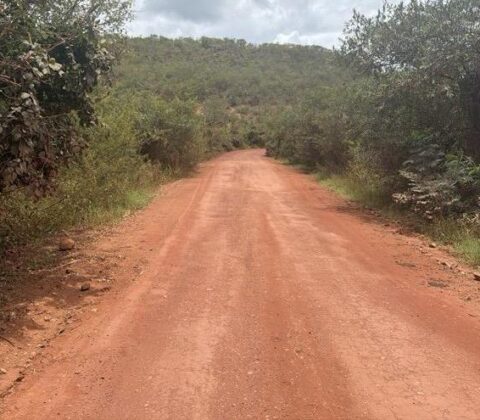 Imagem do post Trecho da BA-245 será pavimentado; obra promete reduzir distância entre Mucugê e Seabra
