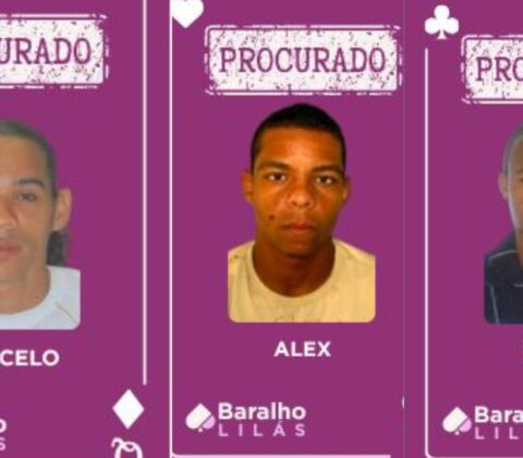 Imagem do post SSP atualiza Baralho Lilás do Crime com mais três novos integrantes