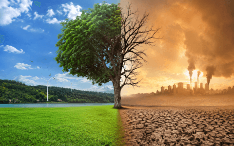 Imagem do post Pesquisa revela impacto direto do clima: 85% dos brasileiros já sentem mudanças na rotina