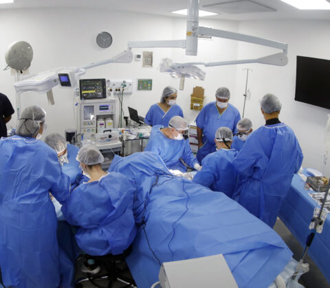 Imagem do post Hospital Ortopédico do Estado da Bahia realiza 80 cirurgias de mão em mutirão pelo SUS
