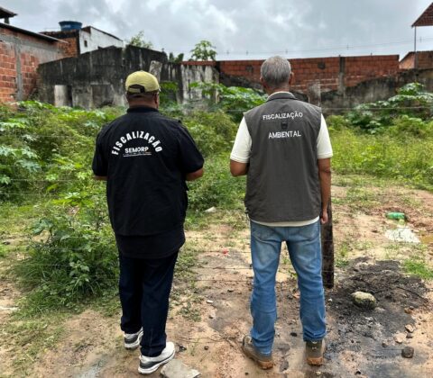 Imagem do post Prefeitura de Alagoinhas notifica proprietários de 78 imóveis por abandono e risco epidemiológico