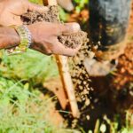 Salvador terá mais de 20 dias de ações ambientais com oficinas, plantios e feira agroecológica