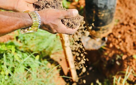 Imagem do post Salvador terá mais de 20 dias de ações ambientais com oficinas, plantios e feira agroecológica