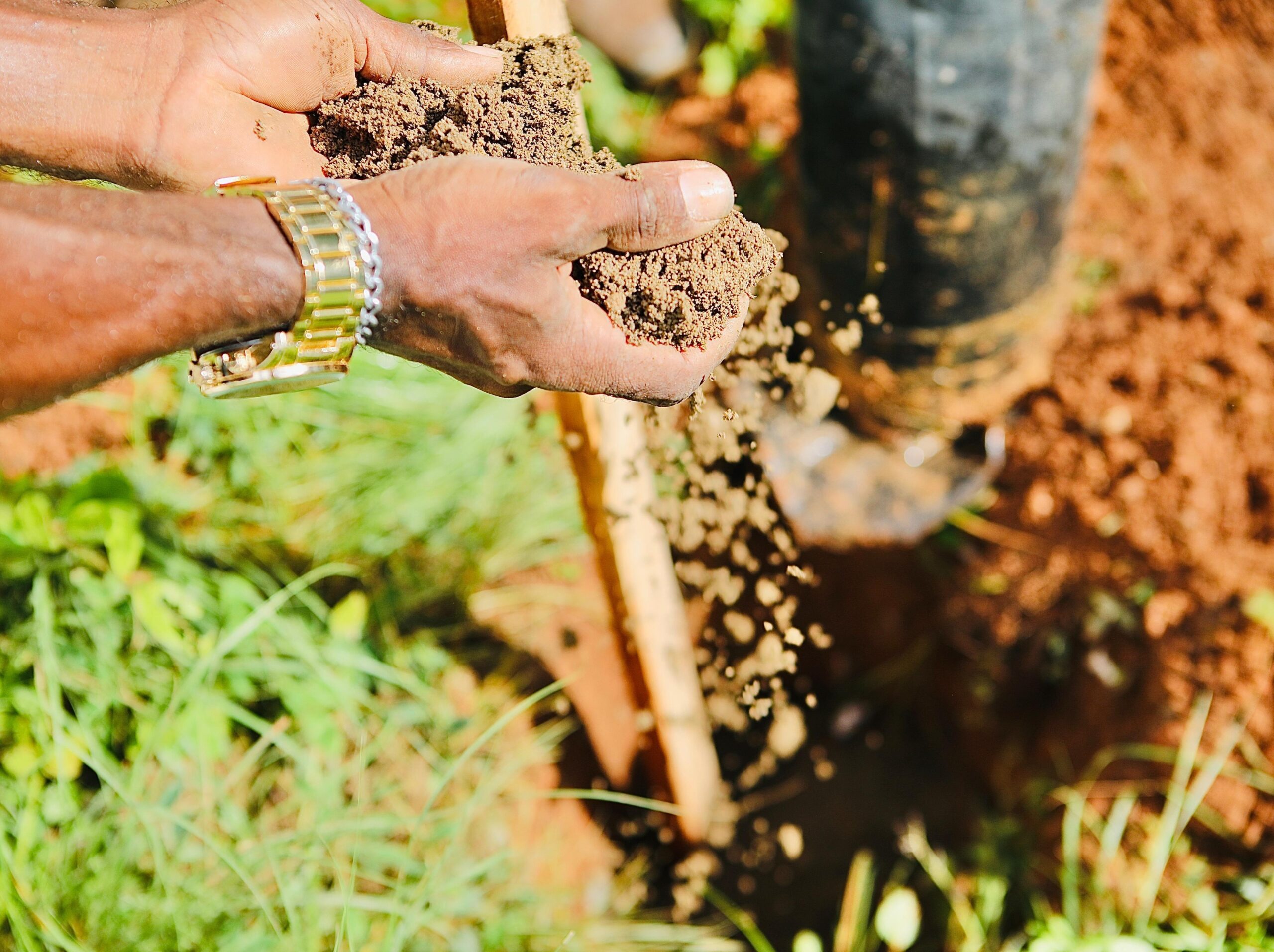 Salvador terá mais de 20 dias de ações ambientais com oficinas, plantios e feira agroecológica