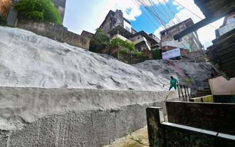 Imagem do post Salvador chega a 588 áreas protegidas com nova intervenção na Cidade Nova