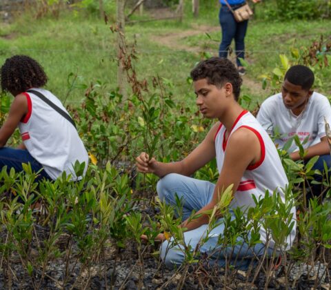 Imagem do post Estudantes de Lauro de Freitas vivenciam aula de campo em manguezal no Recôncavo Baiano