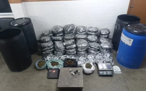 Imagem do post PM encontra quase 100 sacos de maconha durante operação em Feira de Santana