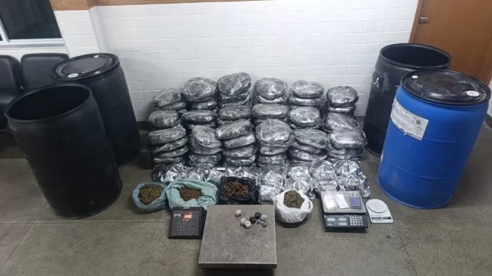 PM encontra quase 100 sacos de maconha durante operação em Feira de Santana