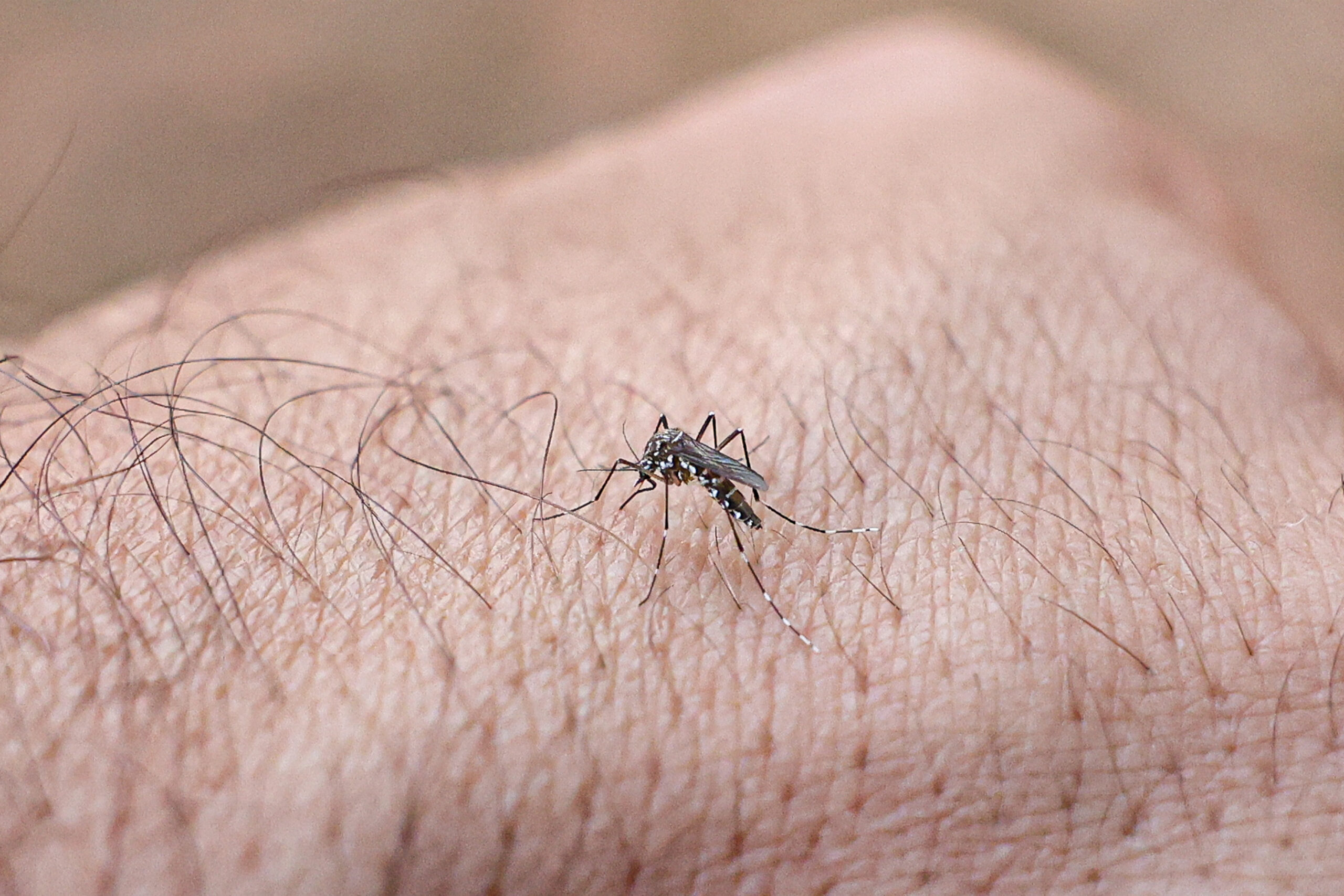 Lídice diz que combate à dengue em Salvador apresenta falhas