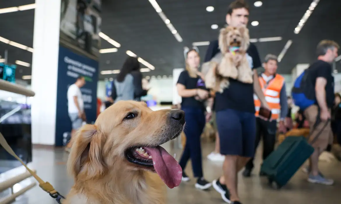 PCDs poderão acessar locais públicos e privados com cães de assistência em Salvador