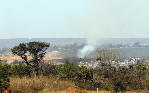 Imagem do post Ministério lança edital para arborizar periferia urbana de pequenas cidades