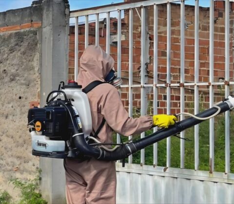 Imagem do post Alerta em Alagoinhas: casos de dengue e chikungunya disparam e preocupam autoridades