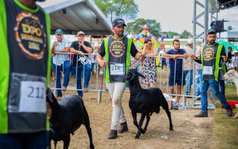 Imagem do post Expo Serrinha 2026 movimenta milhões e bate recordes de público e negócios