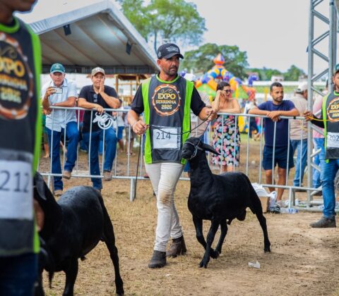 Imagem do post Expo Serrinha 2026 movimenta milhões e bate recordes de público e negócios