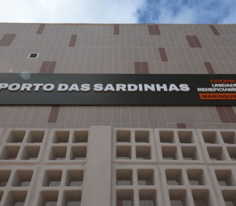Imagem do post VLT de Salvador: Subúrbio ganha unidade exclusiva para pescados