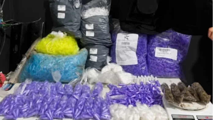 PM apreende grande quantidade de drogas durante operação