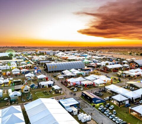 Imagem do post Comissão de Agricultura da Alba participa da Bahia Farm Show nesta semana