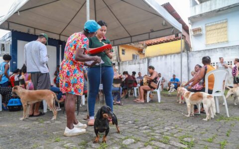 Imagem do post Castração gratuita da Prefeitura ajuda a reduzir abandono de animais e prevenir doenças em Salvador