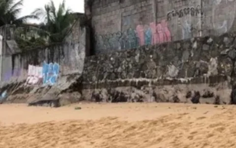 Imagem do post Mulher é encontrada morta na faixa de areia da Praia de Boa Viagem