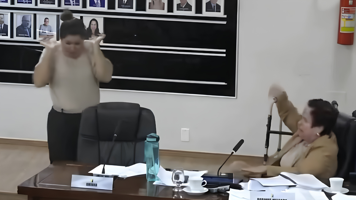 VÍDEO: confusão em plenário termina com vereadora jogando microfone após reclamação