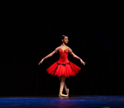 Imagem do post Festival Nacional de Dança Ballace abre programação em Camaçari nesta quarta