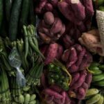Salvador recebe encontro nacional de pesquisas sobre gastronomia brasileira