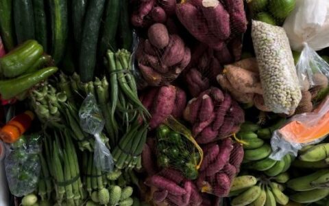 Imagem do post Salvador recebe encontro nacional de pesquisas sobre gastronomia brasileira