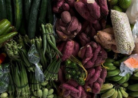 Imagem do post Salvador recebe encontro nacional de pesquisas sobre gastronomia brasileira
