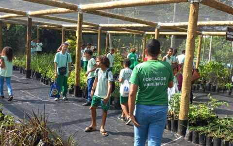 Imagem do post Village Itaparica segue com atividades gratuitas de educação ambiental para estudantes da rede pública